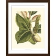 thumbnail image 2 of Art.com Fantastical Botanical IV Art Print by Vision Studio, Brown Frame Wall Art, 32" x 40", 2 of 5