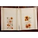 thumbnail image 1 of Design Imports DII Set 2 Toallas de Cocina con Estampado de Girasol Soleado - Floración Do Design Imports Design Imports, 1 of 1