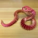 thumbnail image 5 of Figura decorativa de plástico realista con forma de mano de serpiente impresa en 3D y articulaciones totalmente móviles., 5 of 5