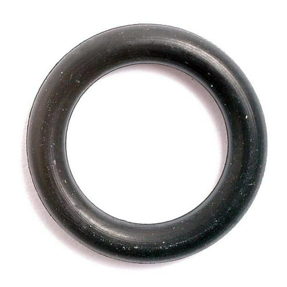 195562M1 O-Ring Fits Massey Ferguson