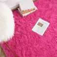 Noahas Shaggy Area Rug Fluffy, Ultra Soft Luxury Carpet for Kids Room