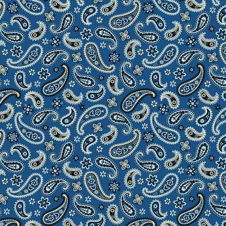 Rainbow Wall Paisley Fabric, Blue