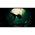 thumbnail image 4 of Maneater - Édition Day One (PS4), 4 of 5