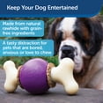 thumbnail image 2 of Juguete para perros PetSafe Busy Buddy Bouncy Bone morado tamaño mediano, 2 of 6