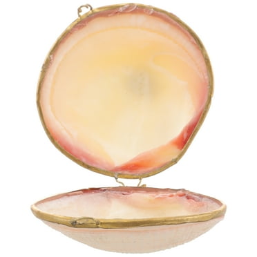 WEAVILUX Jewelry Display Box Seashell Gold Edge 1Pack
