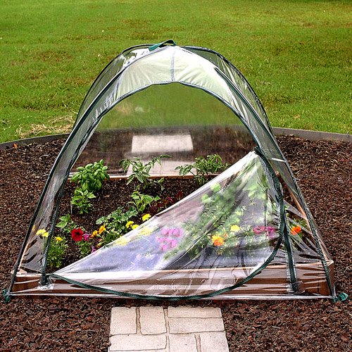 Clear Cover, 48" x 48"