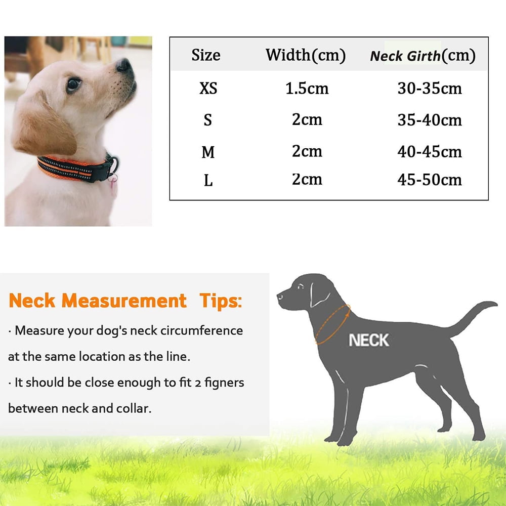 Reflective Mesh Padded Dog Collar Adjustable Nylon Outdoor Adventure Pet Collar Medium and Large Dogs Gray L