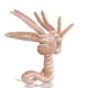 thumbnail image 1 of Muñeco de peluche Alien Predators Facehugger, 50 cm, 1 of 2