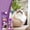 cat furniture, variant on Soothing Cat Spray For Stress Relief And Behavior Guidance, Anti-Scratch Protection For Furniture, Multi-Pet Home Use, 1 Cat Protection Spray