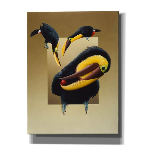 Epic Graffiti 'Chestnut-Mandibled Toucans' by Harro Maass, Canvas Wall Art, 12"x16"
