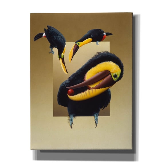 Epic Graffiti 'Chestnut-Mandibled Toucans' by Harro Maass, Canvas Wall Art, 12"x16"