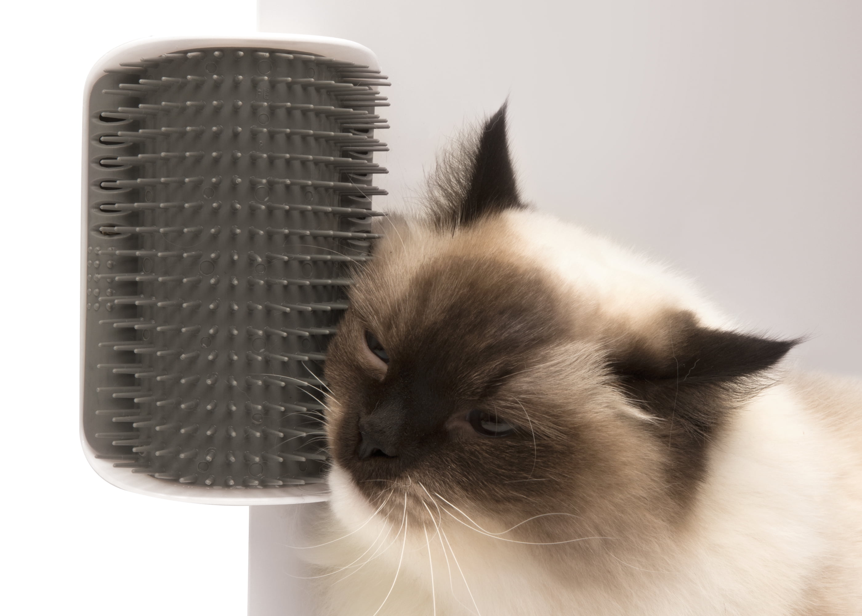 Cat Corner Grooming Tool - Up & Up™ : Target
