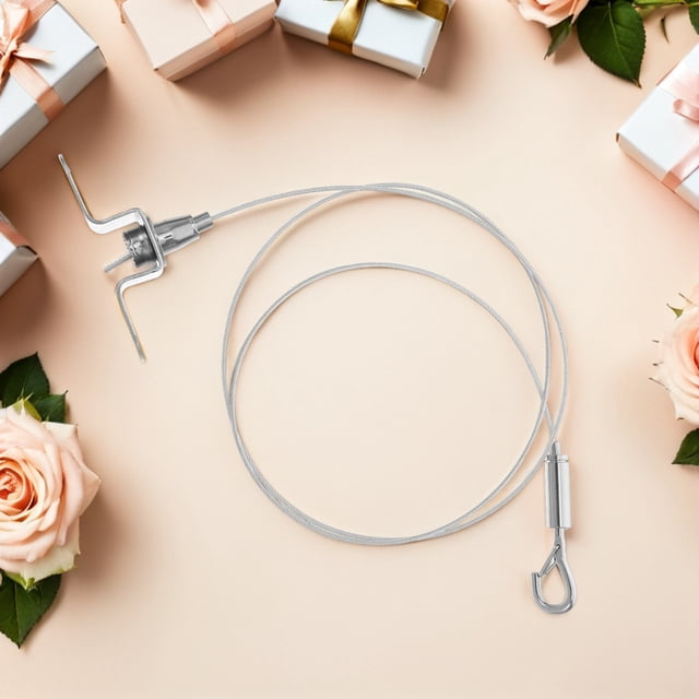 Raindrops 2Pcs Stainless Steel Hanging Wire Rope Kit with Adjustable Hooks for Picture Frames and Lamps