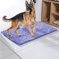 thumbnail image 2 of ¡Campaña con descuento!Alfombra para perros Cleany, alfombra atrapasuciedad ultra absorbente, alfombra para perros, alfombra limpia, alfombra para suelo súper absorbente para barro 80*120cm, 2 of 3
