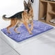 thumbnail image 2 of Popular! Cleany Dog Mat, Ultra Absorbent Dirt Trapper Mat, Dog Rug, Clean Mat, Super Absorbent Floor Mat For Mudy 80*120cm, 2 of 3