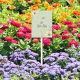 thumbnail image 3 of Eveokoki No Mow May Sign with Metal Stake 7 x 8.8 Inches No Mow May Yard Sign No Mow Signs Aluminum ​Garden Signs Outdoor for Lawn Yard Garden Decor, Easy to Install, 3 of 6