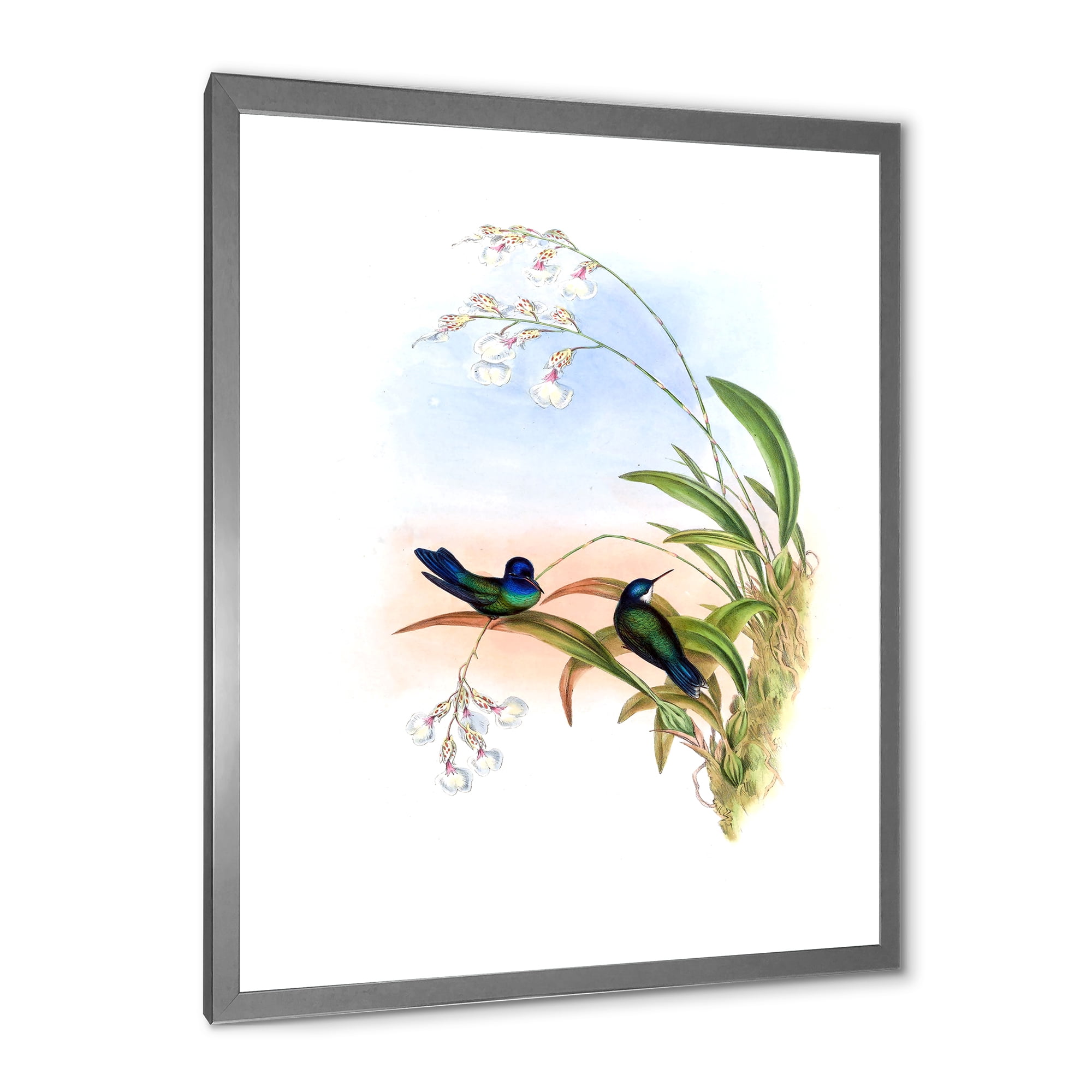 Designart 'Ancient Hummingbird III' Traditional Framed Art Print