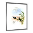 thumbnail image 2 of Designart 'Ancient Hummingbird III' Traditional Framed Art Print, 2 of 4