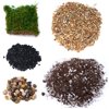 TerraGreen Creations Succulent Planter Kit - Terrarium Kit with Succulent Soil, Gravel, Pebble, Moss, Small