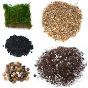 TerraGreen Creations Succulent Planter Kit - Terrarium Kit with Succulent Soil, Gravel, Pebble, Moss, Small