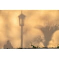 thumbnail image 2 of Miglavs, Janis 32x23 Gold Ornate Wood Framed with Double Matting Museum Art Print Titled - Early morning shadow of a man and lamppost and plant on house wall in Trinidad-Cuba, 2 of 4