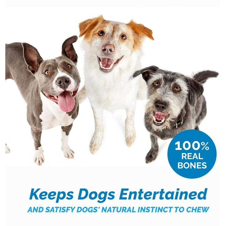 Natural Bones for dogs 100 Natural Long Lasting Pork Femur Chews Pork 1 Count