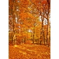thumbnail image 2 of GreenDecor 5x7ft Autumn Photo Backgrounds Scenic Forest Backdrop Yellow Leaves Photo Booth, 2 of 4