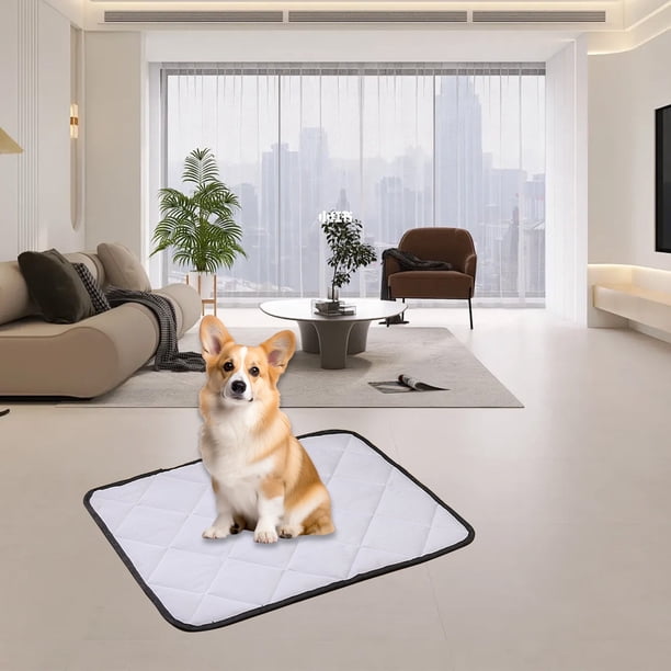 ¡Liquidación en Bocqde! Alfombras de baño para dormitorio. Tapete lavable para orina de cachorro, apto para cachorros y perros mayores. Tapete reutilizable y de secado rápido. Ideal para interiores,