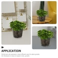 thumbnail image 4 of DEBGFS 6 Pcs Indoor Plant Pots Clear Flower for 12 Inch Orchid Planter Transparent 10cm,none, 4 of 6