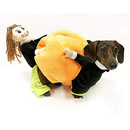 Midlee Carrying Pumpkin Dog Costume (Large)