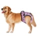 thumbnail image 2 of Pañal grande para perros, pantalones fisiológicos sanitarios, ropa interior lavable para perros, suministros para mascotas, ropa interior para perros, 2 of 5