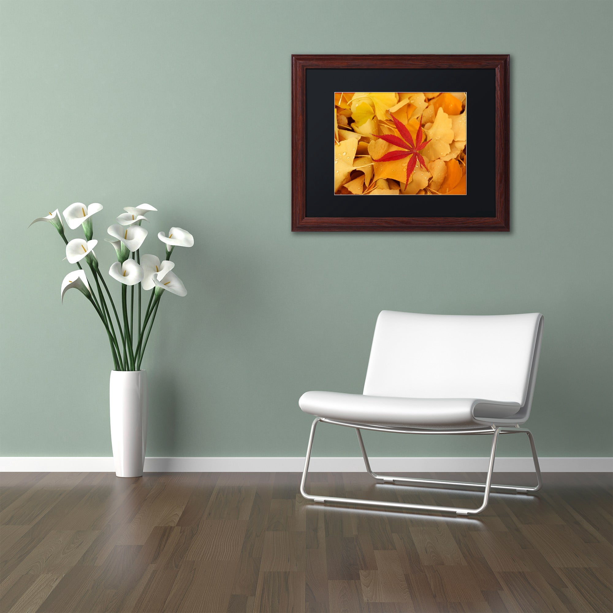 Trademark Fine Art "Red Star" Canvas Art by Philippe Sainte-Laudy Black Matte, Wood Frame