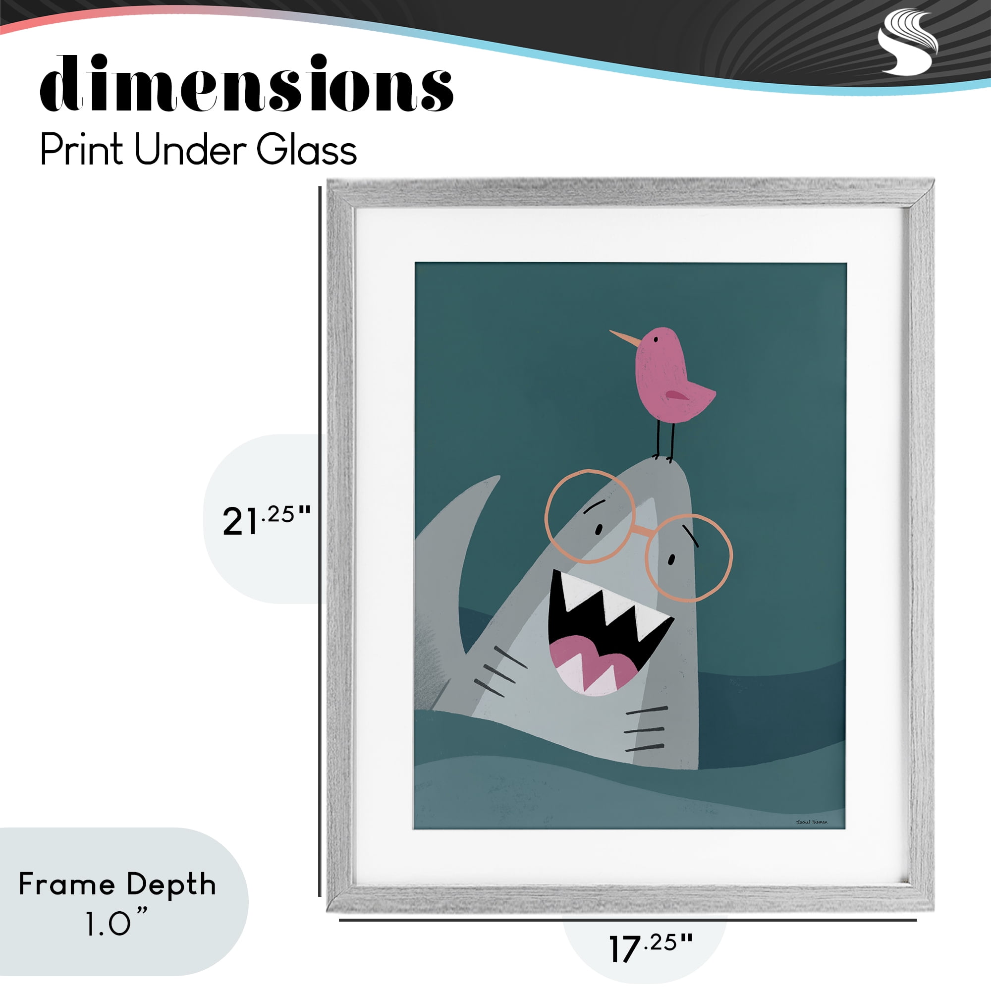 Stupell Industries The Friendliest Shark Gray Framed Print Under Glass, design by Rachel Nieman