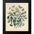 thumbnail image 2 of Papillion - Butterflies 12x14 Black Modern Framed Museum Art Print Titled - Art Licensing Studio, 2 of 5
