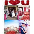 thumbnail image 4 of 1000 PCS Burgundy Artificial Fake Rose Petals For Wedding, Romantic Night For Her/Him Set, Engagement, Flower Decorations, Event, Party, In Bulk(Dark-, 4 of 4