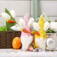 thumbnail image 3 of 3 Pieces Easter Gnome Leprechaun Swedish Tomte Elf Nordic Gnome Elf Easter Gnome Elf Dwarf, 3 of 5