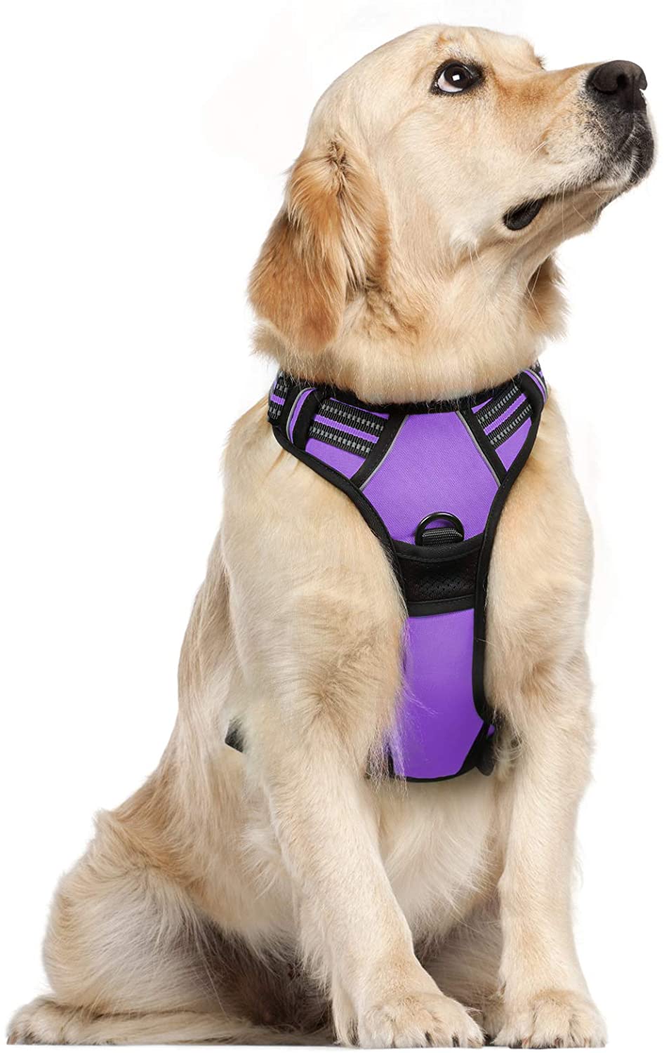 Lukovee No Pull Dog Harness, No Choke Pet Harness with 2 Leash Clips and  Easy Control Vertical Handle, Adjustable Soft Padded Dog Vest for Medium  and