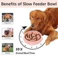 thumbnail image 2 of Cuencos MateeyLife para perros Slow Feeder, grandes, 4 tazas, 2 unidades, rosa y morado, 2 of 7