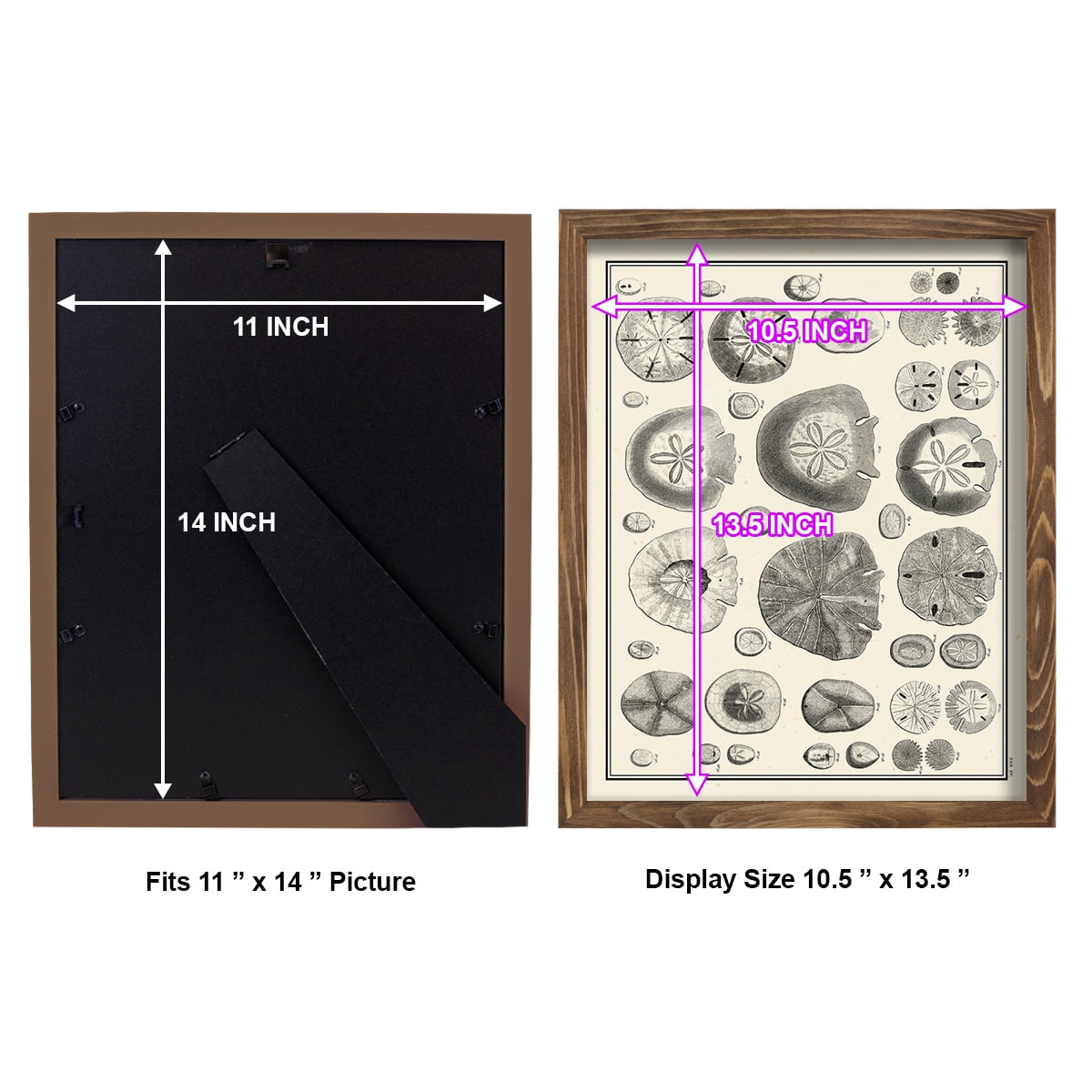 Aegean Collection II -Framed Print w/glass-Walnut