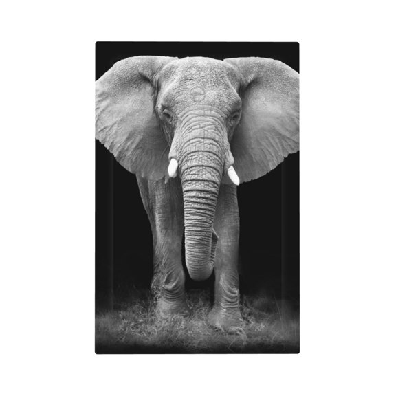 Fuzoiu Indian Elephant Print Single Duplex Outlet Cover Plate, Light Switch Cover, for Receptacle Light Switch, Switch Cover Decorative Wallplate-Style V