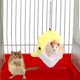 thumbnail image 1 of Cama Colgante Para Mascotas, Hamaca Para Hámster, Hámster De Peluche Para Rata Mascota Ccdes Otros, 1 of 8