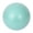Mint Green, variant on Yoga Ball Stability Ball for Exercise and Core Workout Outdoor Fitness Balance Trainer for Home Gym and Strength Training Mint Green