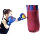 thumbnail image 2 of Guantes de boxeo Toystoory 1 par para niños Kickboxing ajustables de algodón y cuero Azul HW4734-03B, 2 of 6
