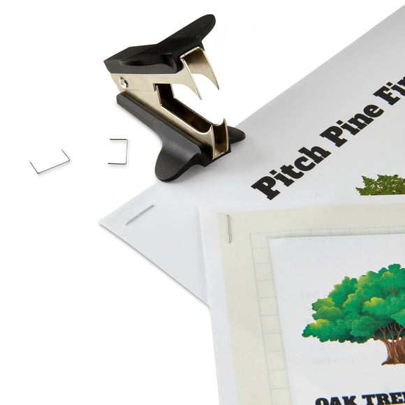 Pen +Gear, Staple Remover, for School Office Home 1 pack,Black,Product Length 1.85 inch and Product Weight 23 Gram