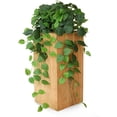 thumbnail image 2 of Plantas colgantes artificiales de pothos de alyptus, set de 2, 2 of 9