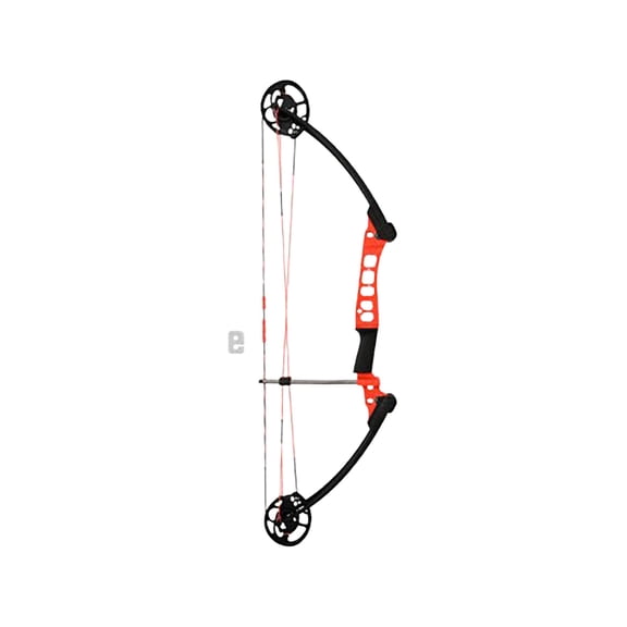 AMS Blaze Hooligan V2 Bowfishing Bow Right Hand 50 lb