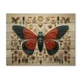 thumbnail image 3 of Designart "Tiny Wonders Insects Bugs wall decor III" Animals Print on Natural Pine Wood, 3 of 5