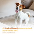 thumbnail image 3 of Toallitas Douxo S3 PYO 3% Clorhexidina para Perros y Gatos, 30 Unidades, 3 of 9