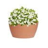 Algreen Products Hampton 35 Gallon Contemporary Corner Planter 26L 24W 20H
