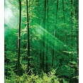 thumbnail image 3 of Forest Duvet Cover Set, Sun Rays Bursting into the Forest Trees Foliage Misty Morning Serenity Picture, Decorative 3 Piece Bedding Set with 2 Pillow Shams, Calking Size, Green White, by Ambesonne, 3 of 3